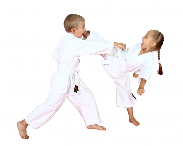 barn karate